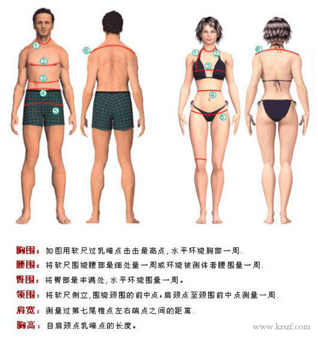 職業(yè)裝量體